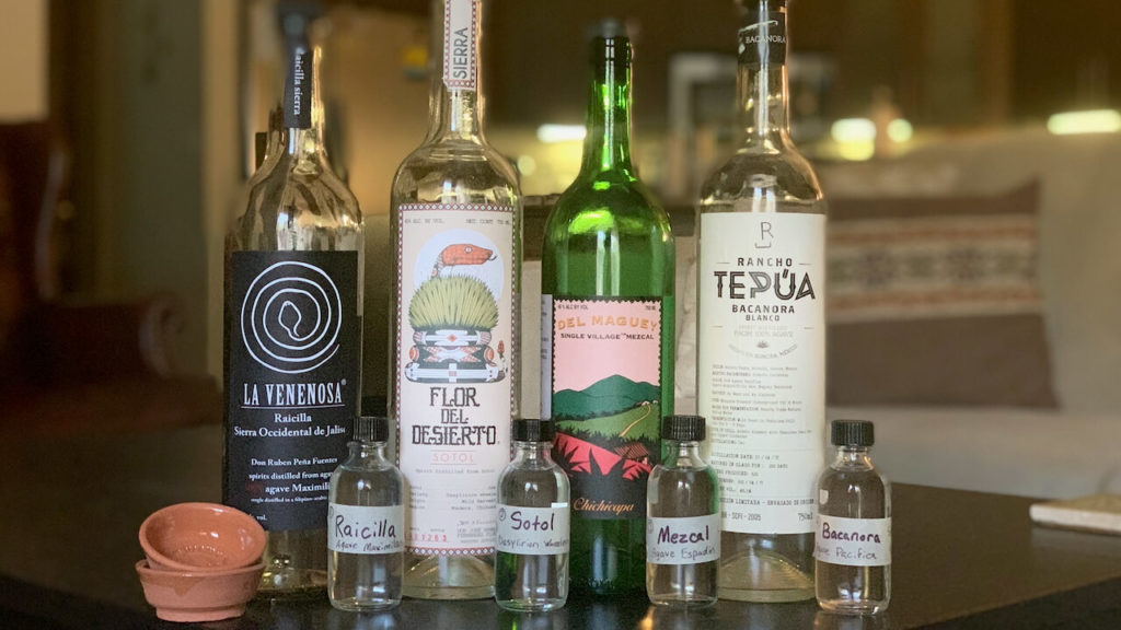 Mezcal Reviews The Best Place to Discover and Review Mezcals