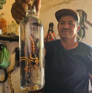 Mezcal Tasting with Juan Scorpian Bottle