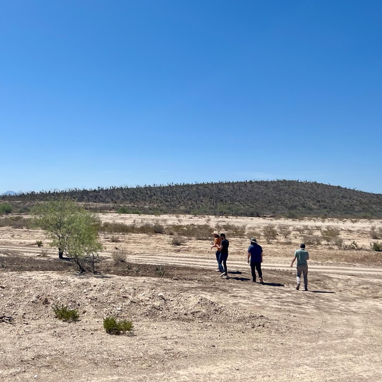 Four men walk across a desert region of Durango